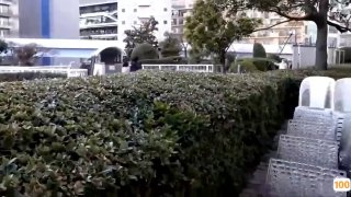 亚洲一区无码视频,成人视频高清免费观看